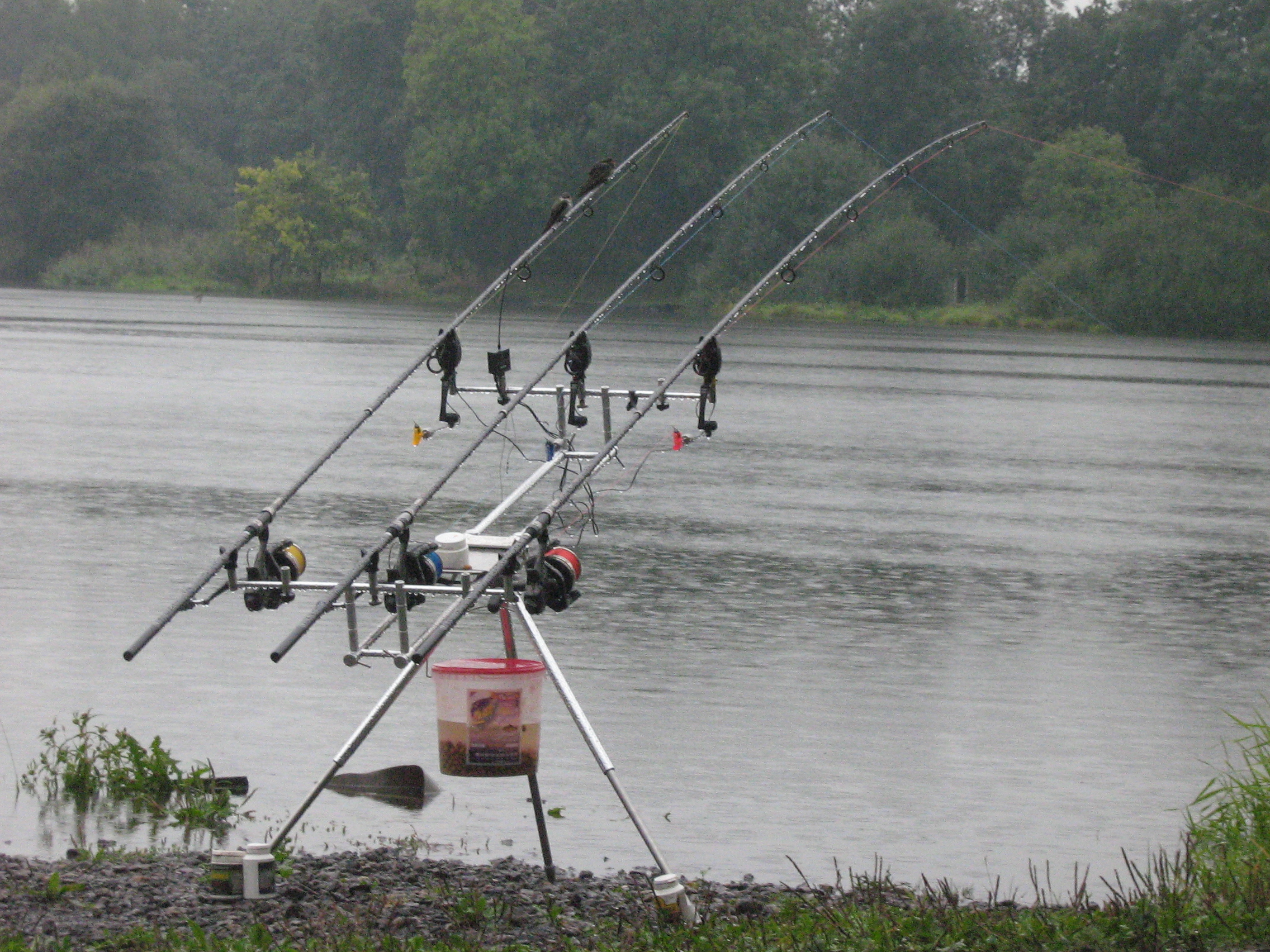Carp  Maraton Louky 2007 033.jpg