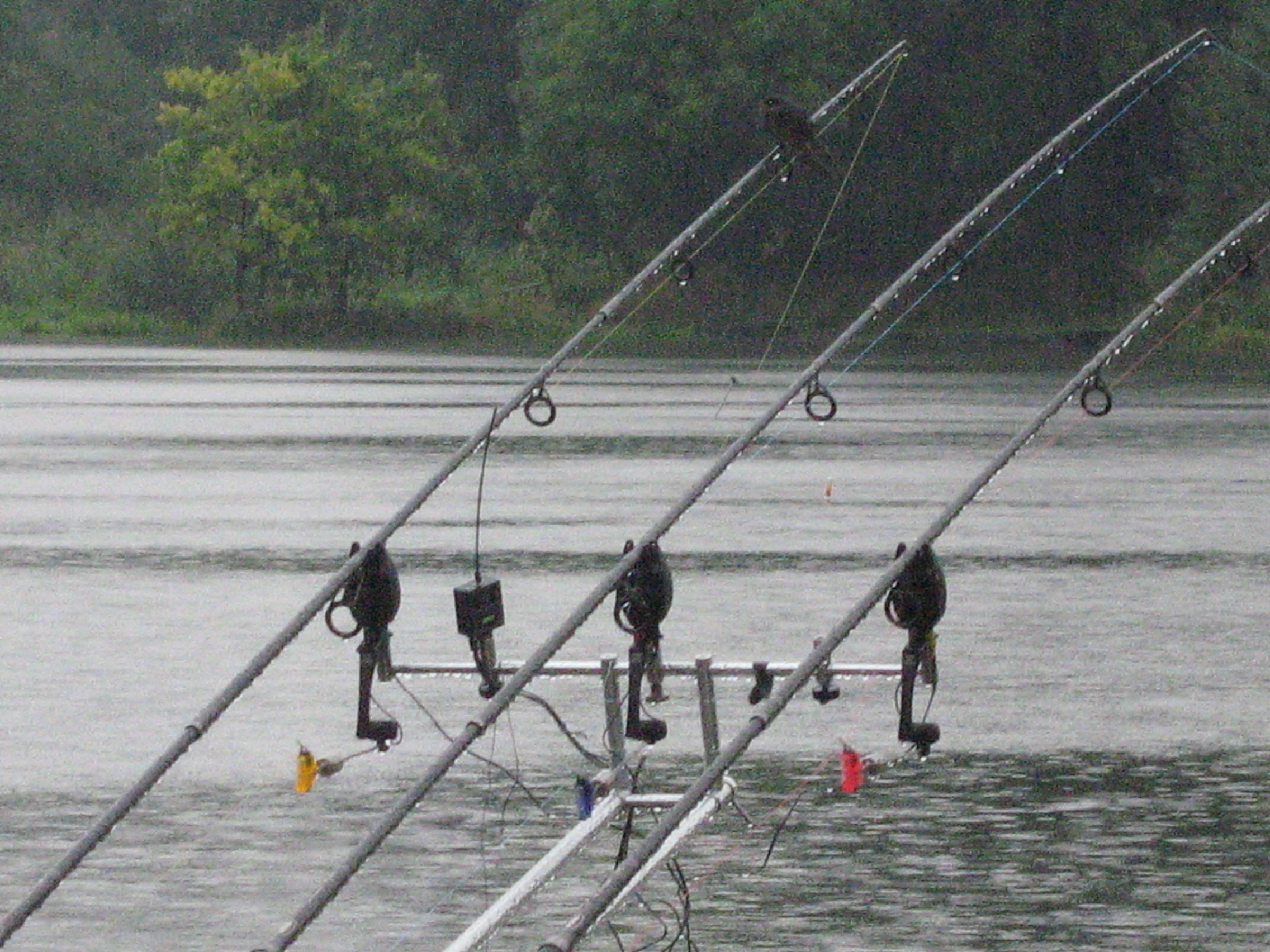 Carp  Maraton Louky 2007 027.jpg