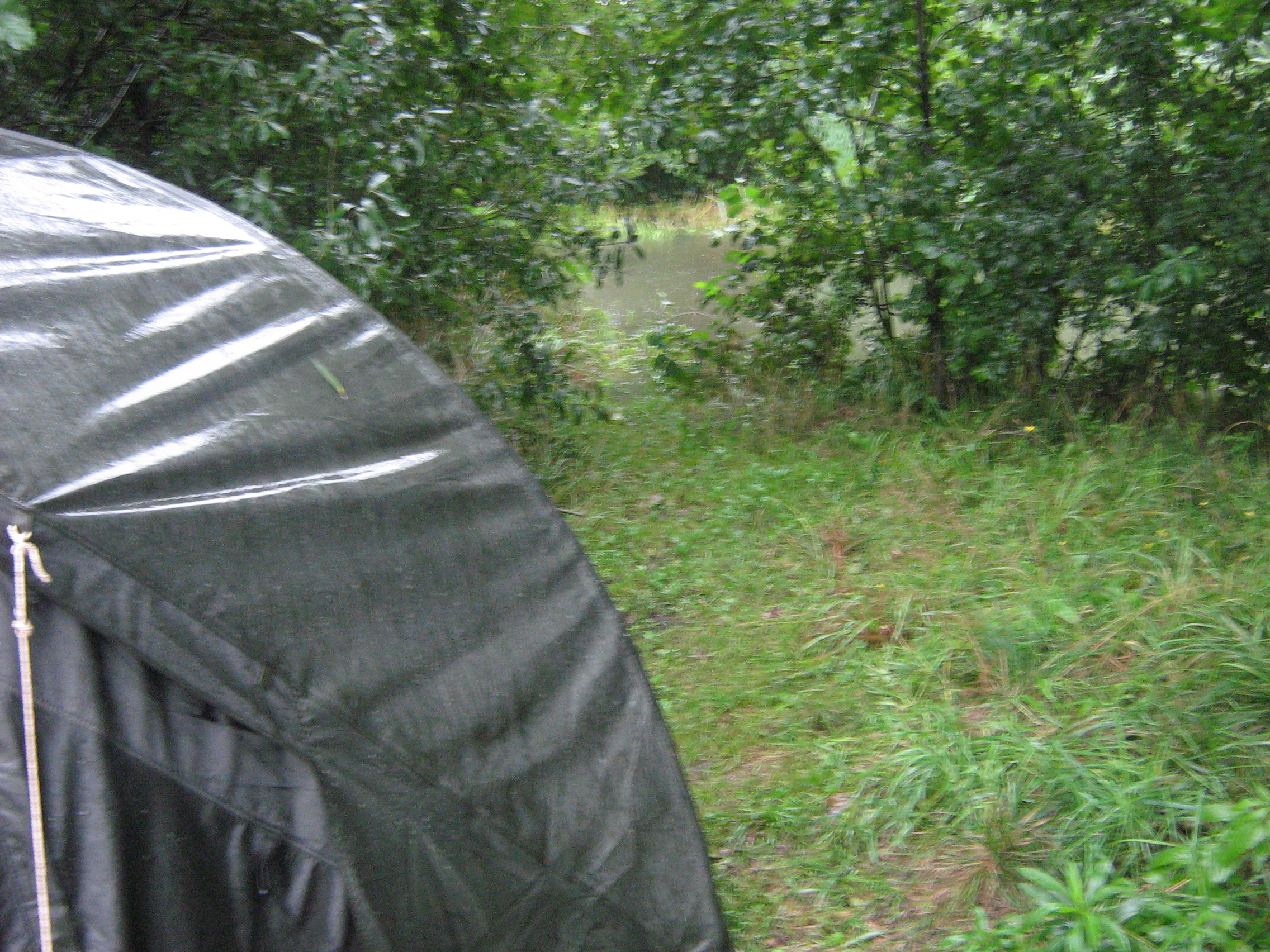 Carp  Maraton Louky 2007 036.jpg